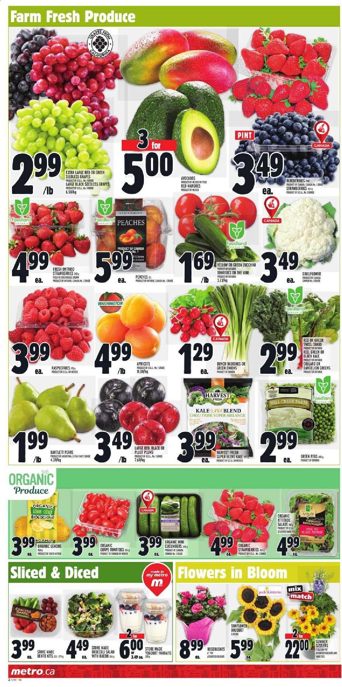 thumbnail - Metro Flyer - July 22, 2021 - July 28, 2021 - Sales products - broccoli, cauliflower, cucumber, radishes, tomatoes, zucchini, kale, peas, salad, green onion, avocado, Bartlett pears, seedless grapes, strawberries, plums, pears, apricots, lemons, peaches, crackers, pot, chard, sunflower. Page 2.