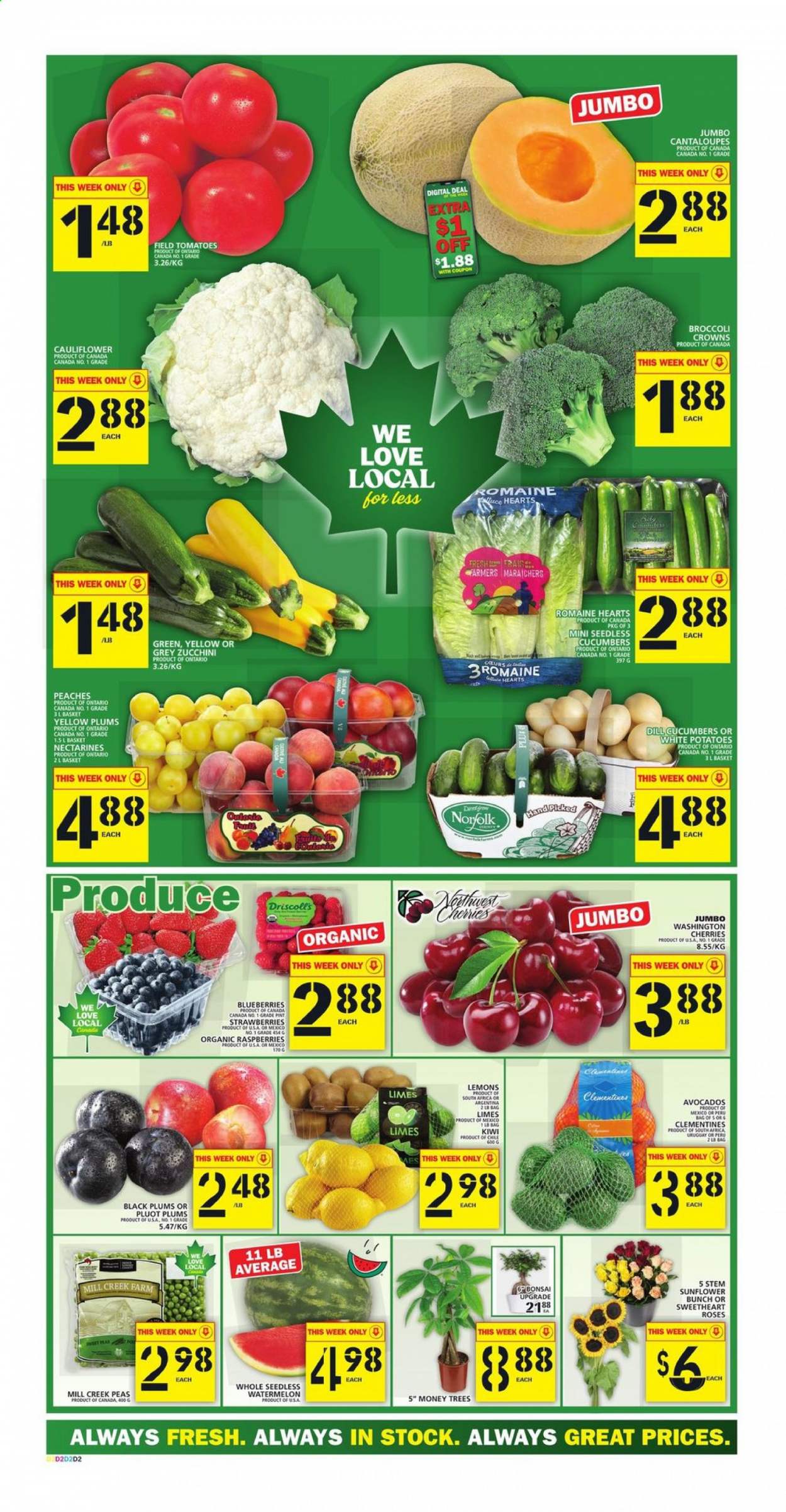 thumbnail - Food Basics Flyer - July 29, 2021 - August 04, 2021 - Sales products - cantaloupe, cauliflower, cucumber, tomatoes, zucchini, potatoes, peas, avocado, blueberries, clementines, limes, nectarines, strawberries, watermelon, plums, cherries, lemons, black plums, peaches, dill, kiwi. Page 2.
