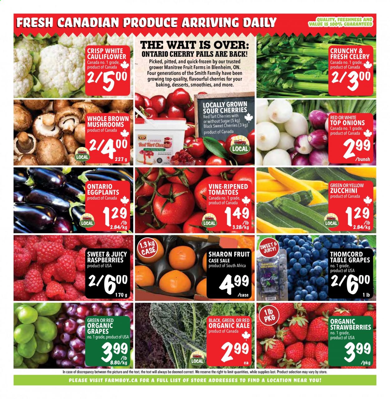 Farm Boy flyer - July 29, 2021 - August 04, 2021. Page 6