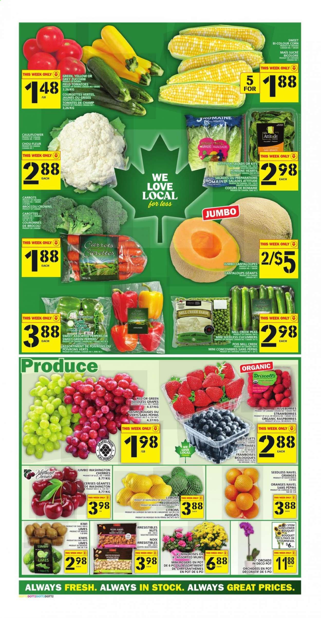 Food Basics flyer - August 05, 2021 - August 11, 2021. Page 3