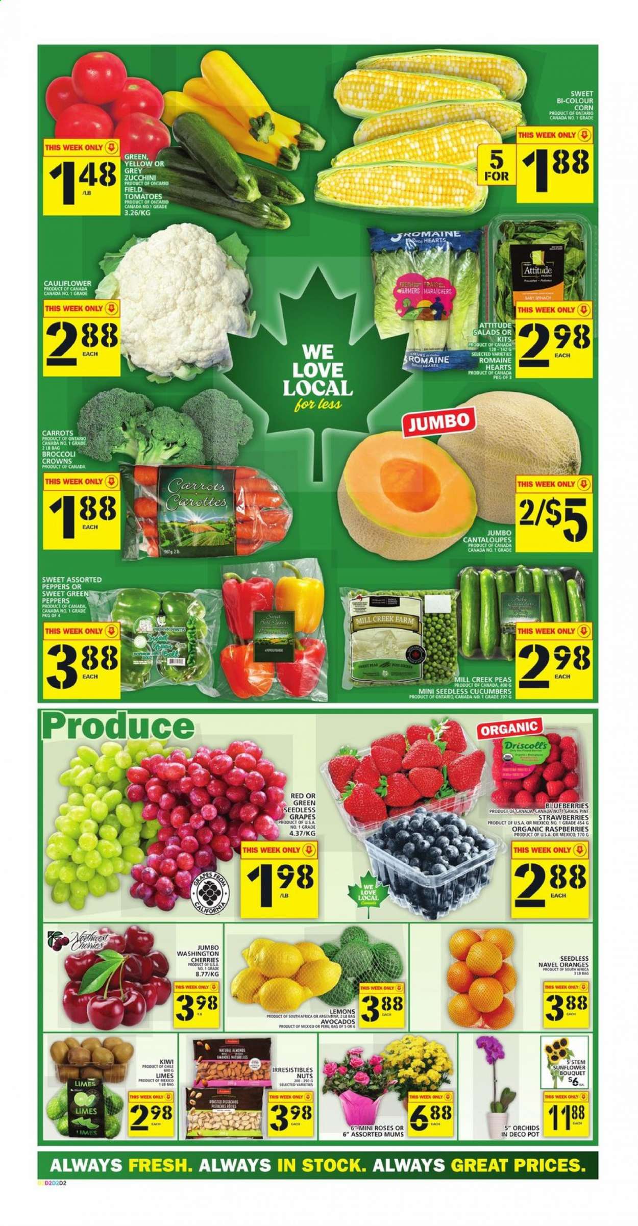 thumbnail - Food Basics Flyer - August 05, 2021 - August 11, 2021 - Sales products - cantaloupe, carrots, cauliflower, corn, cucumber, tomatoes, zucchini, peas, peppers, avocado, blueberries, grapes, limes, seedless grapes, strawberries, cherries, lemons, navel oranges, pot, kiwi. Page 3.