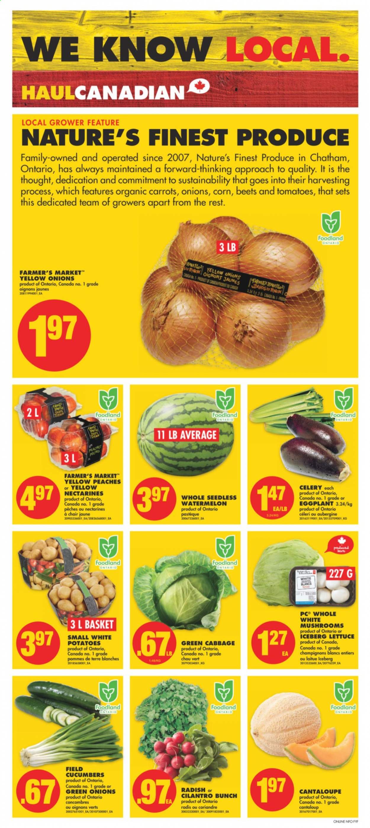 No Frills flyer - August 05, 2021 - August 11, 2021. Page 2