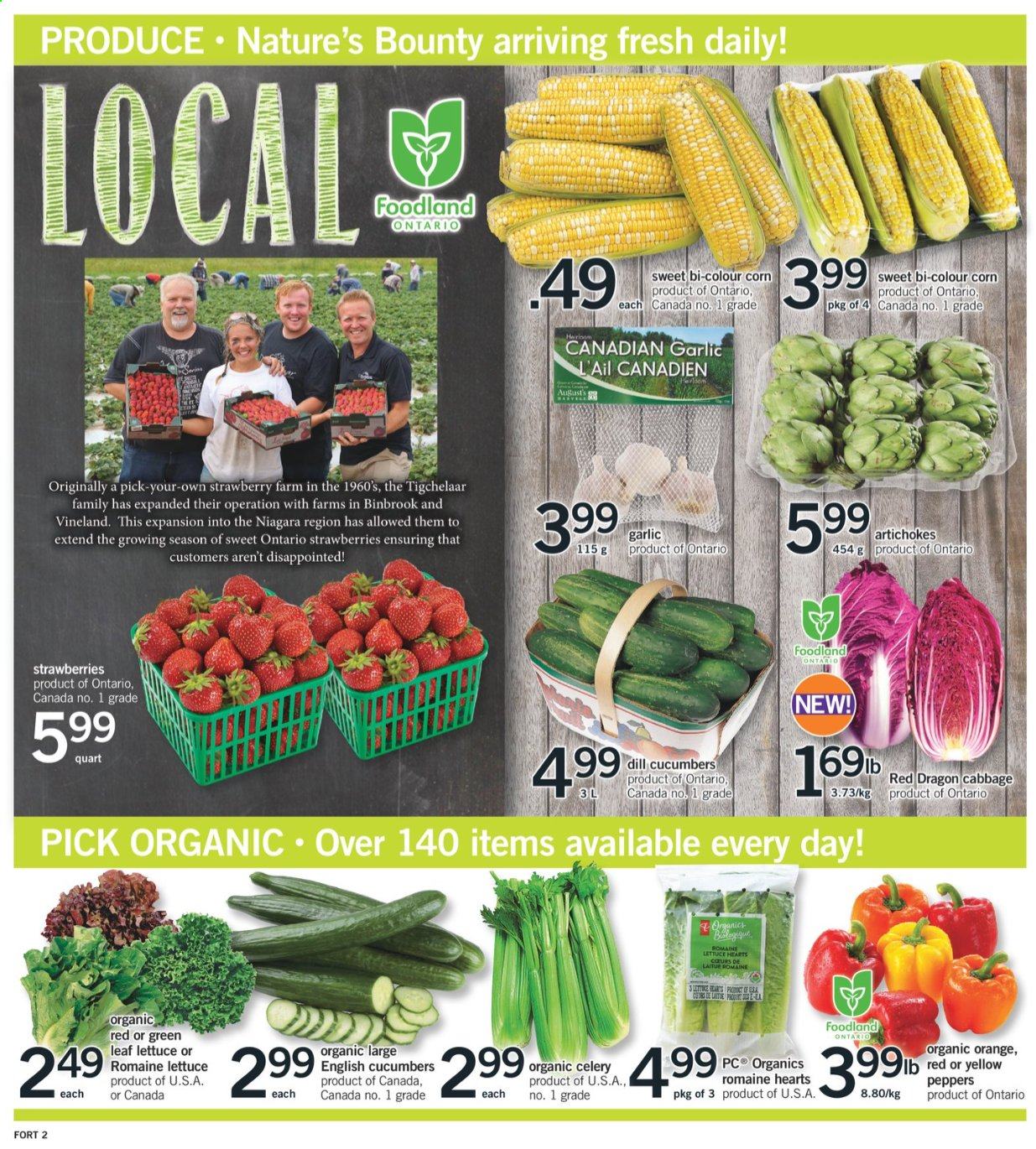 thumbnail - Fortinos Flyer - August 12, 2021 - August 18, 2021 - Sales products - artichoke, cabbage, celery, corn, cucumber, garlic, lettuce, strawberries, dill, Nature's Bounty. Page 3.