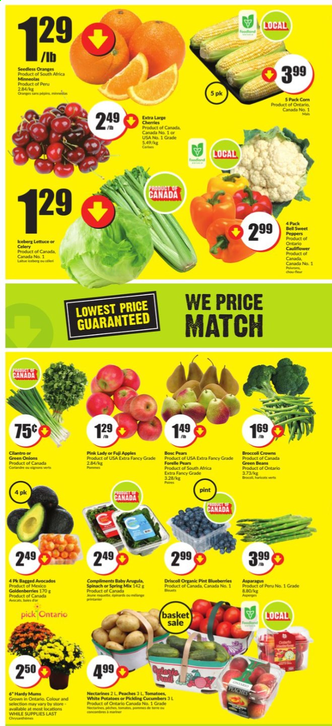 thumbnail - FreshCo. Flyer - August 12, 2021 - August 18, 2021 - Sales products - asparagus, beans, corn, cucumber, green beans, sweet peppers, potatoes, lettuce, peppers, green onion, apples, avocado, blueberries, nectarines, cherries, pears, Fuji apple, peaches, Pink Lady, cilantro, Cerés. Page 3.