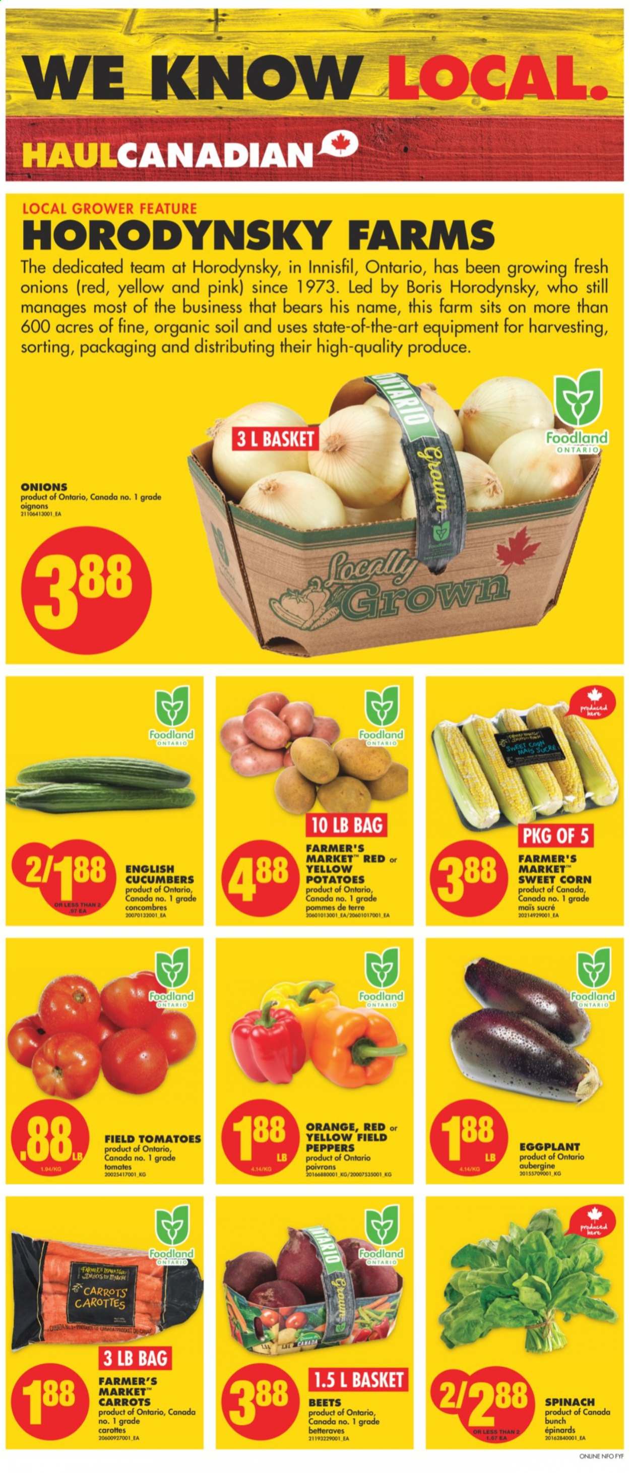 thumbnail - No Frills Flyer - August 19, 2021 - August 25, 2021 - Sales products - carrots, corn, cucumber, spinach, tomatoes, potatoes, onion, peppers, eggplant, sweet corn. Page 2.