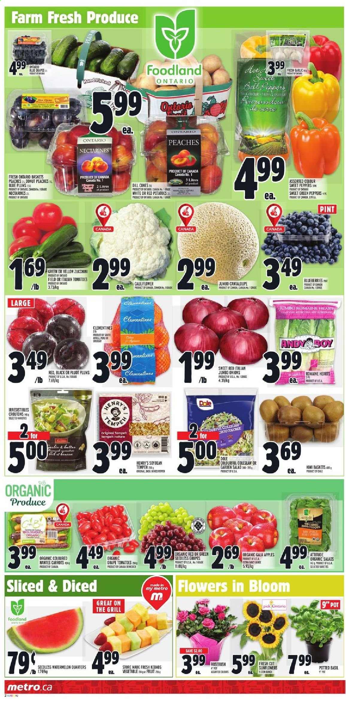 Metro flyer - August 19, 2021 - August 25, 2021. Page 2