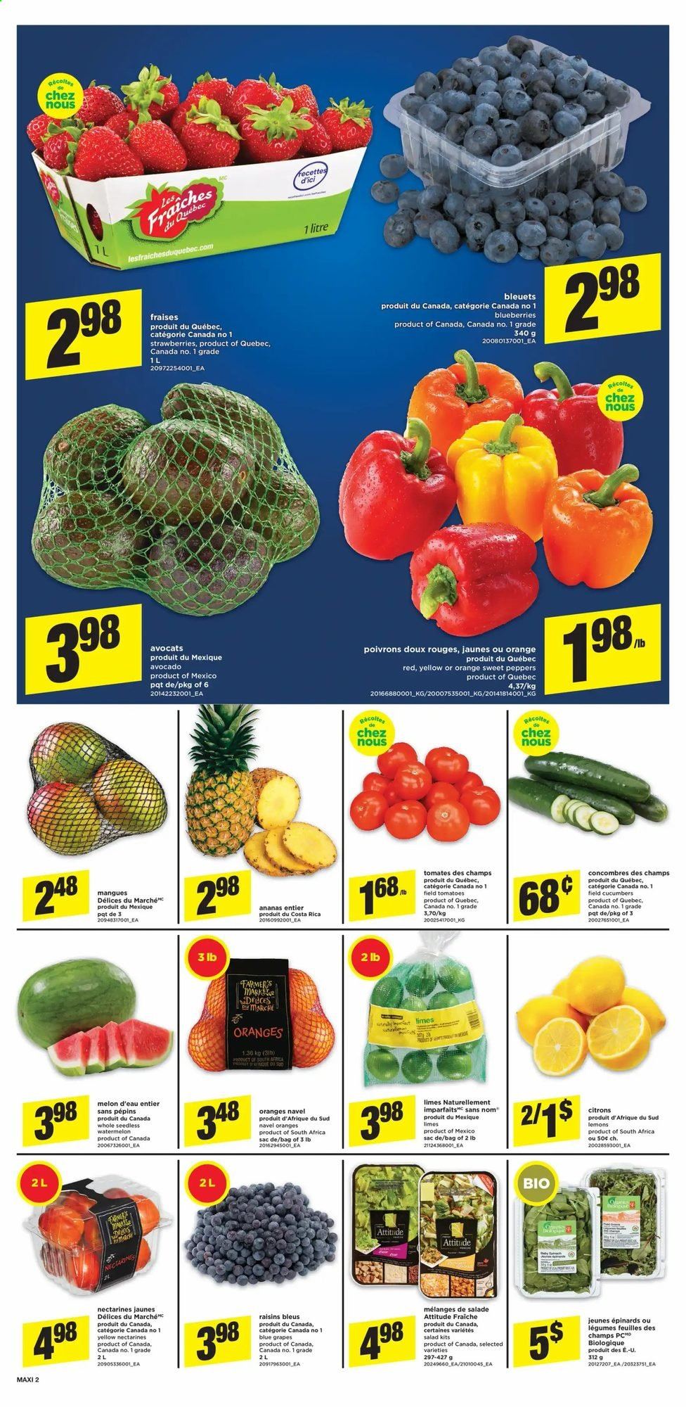 thumbnail - Maxi Flyer - August 19, 2021 - August 25, 2021 - Sales products - cucumber, sweet peppers, tomatoes, salad, peppers, avocado, blueberries, grapes, limes, nectarines, strawberries, watermelon, melons, lemons, navel oranges, dried fruit, raisins, oranges. Page 3.