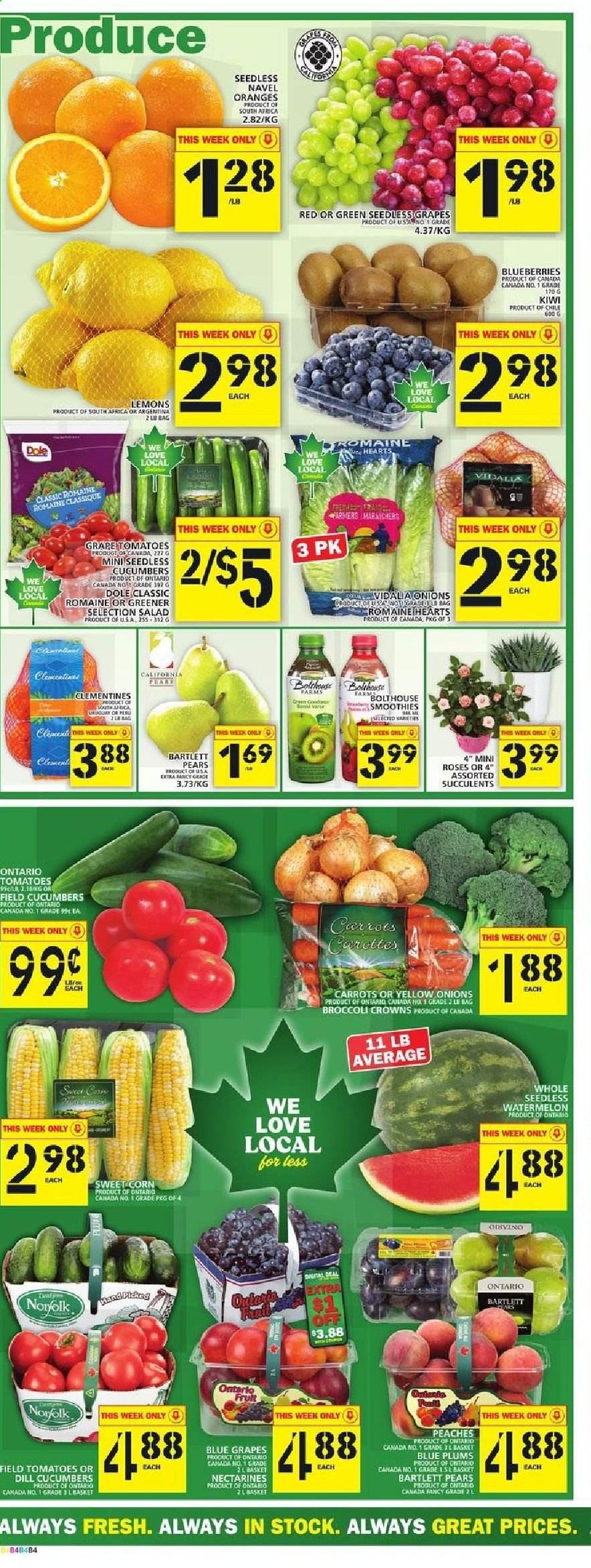 thumbnail - Food Basics Flyer - August 26, 2021 - September 01, 2021 - Sales products - carrots, corn, cucumber, tomatoes, onion, salad, Dole, sweet corn, Bartlett pears, blueberries, clementines, nectarines, seedless grapes, watermelon, plums, pears, lemons, peaches, navel oranges, dill, smoothie, kiwi. Page 4.