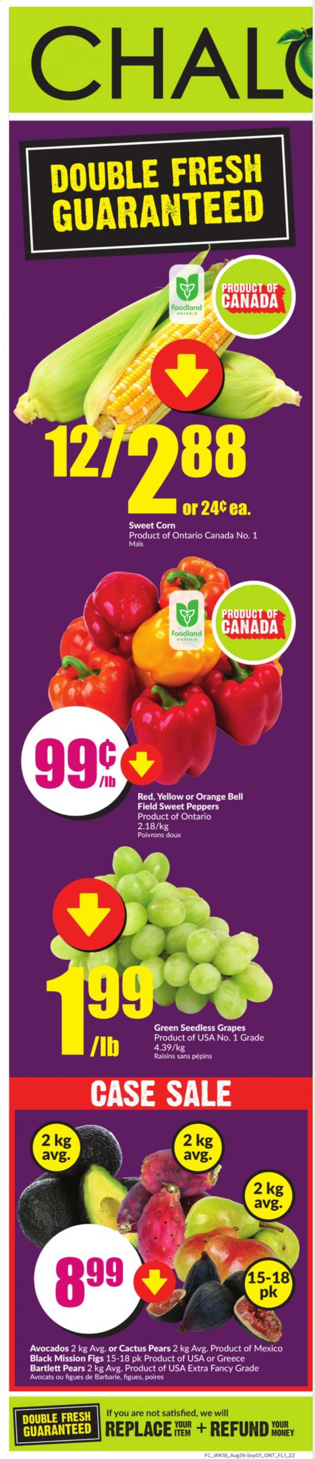 Chalo! FreshCo. flyer - August 26, 2021 - September 01, 2021. Page 19