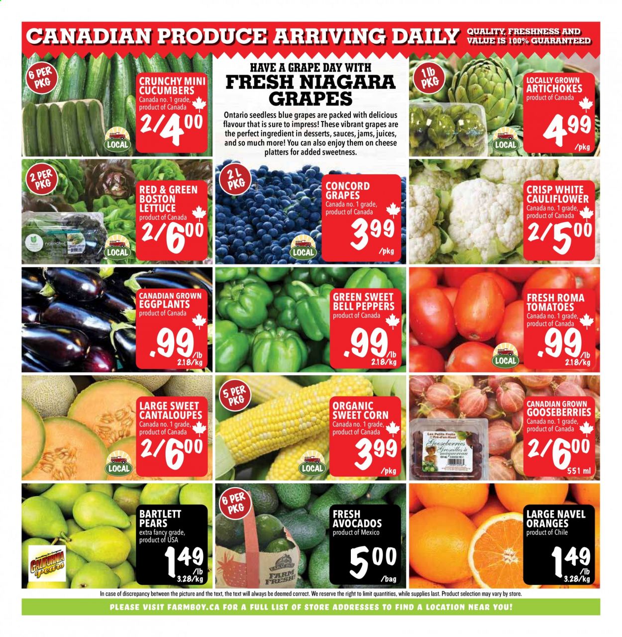 Farm Boy flyer - August 26, 2021 - September 01, 2021. Page 6