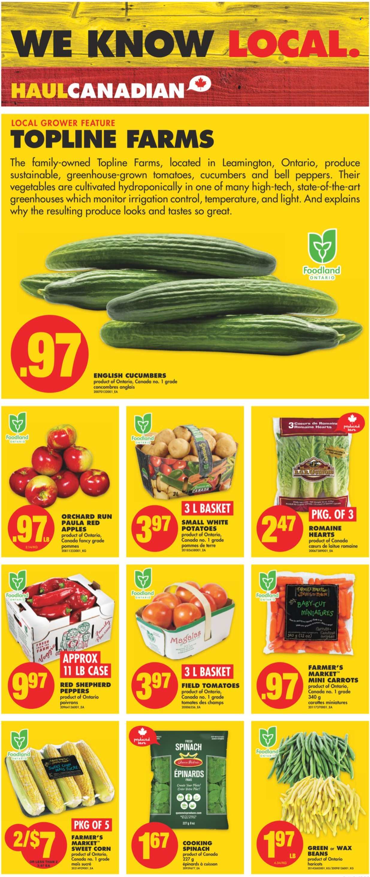 thumbnail - No Frills Flyer - September 09, 2021 - September 15, 2021 - Sales products - beans, bell peppers, carrots, corn, cucumber, spinach, potatoes, peppers, sweet corn, apples, basket. Page 2.