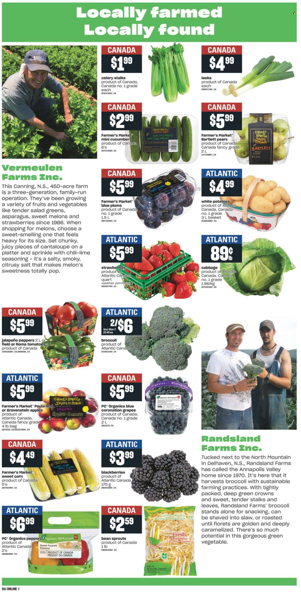 thumbnail - Atlantic Superstore Flyer - September 09, 2021 - September 15, 2021 - Sales products - asparagus, broccoli, cabbage, cantaloupe, celery, corn, cucumber, sweet peppers, tomatoes, potatoes, salad, jalapeño, sweet corn, sleeved celery, apples, Bartlett pears, blackberries, grapes, strawberries, plums, pears, melons, spice, bean sprouts, salad greens. Page 4.