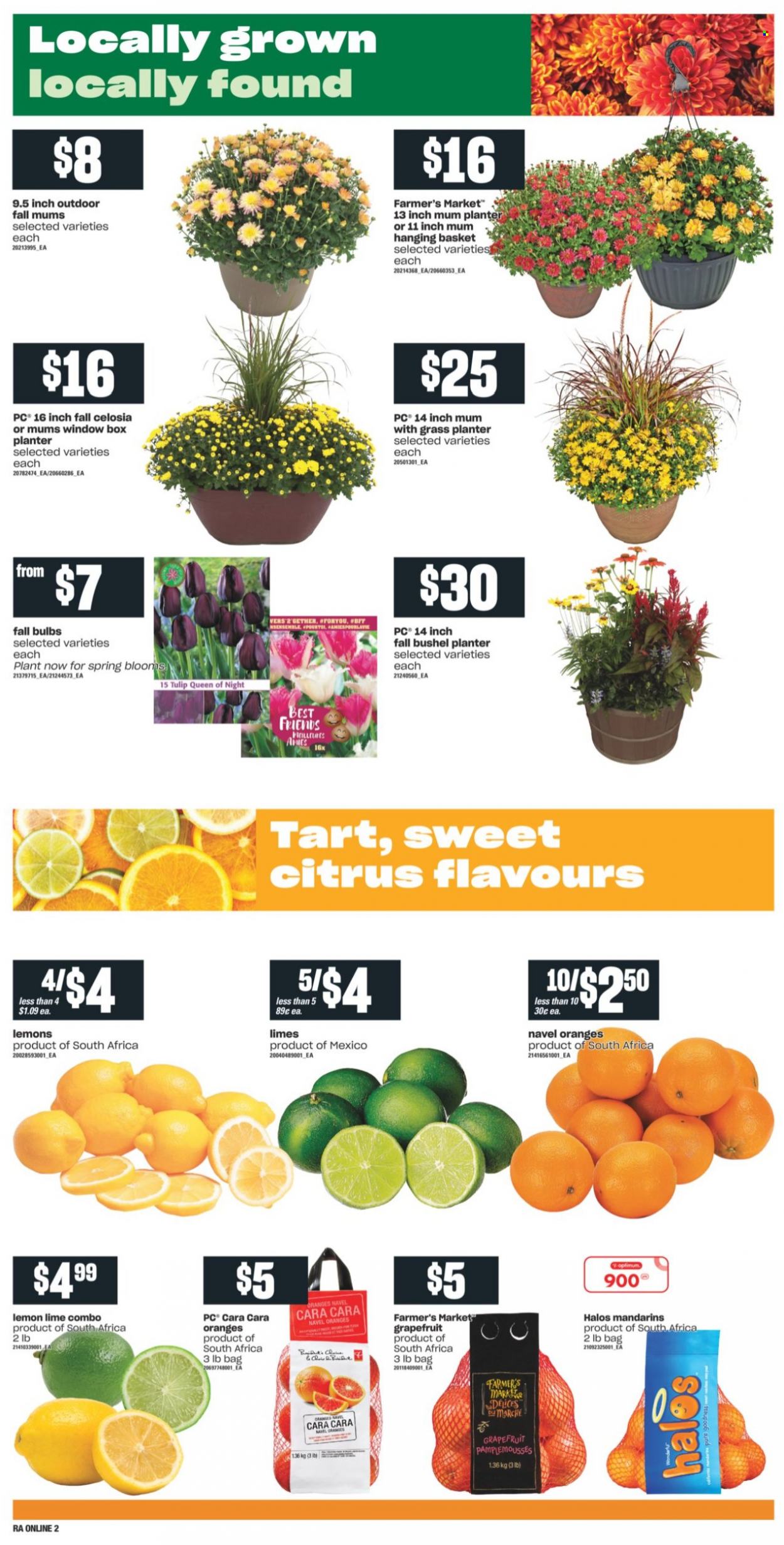 Atlantic Superstore flyer - September 09, 2021 - September 15, 2021. Page 5