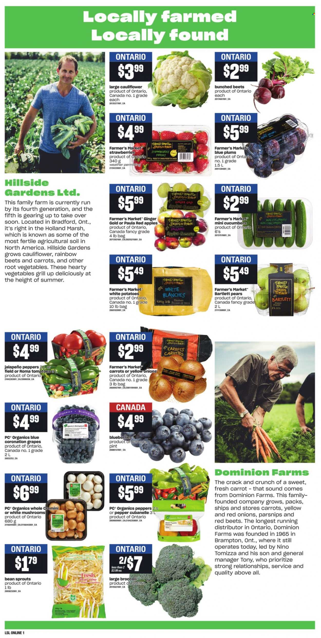 thumbnail - Loblaws Flyer - September 09, 2021 - September 15, 2021 - Sales products - mushrooms, broccoli, cauliflower, tomatoes, potatoes, parsnips, jalapeño, apples, Bartlett pears, blueberries, grapes, strawberries, plums, pears, bean sprouts. Page 4.