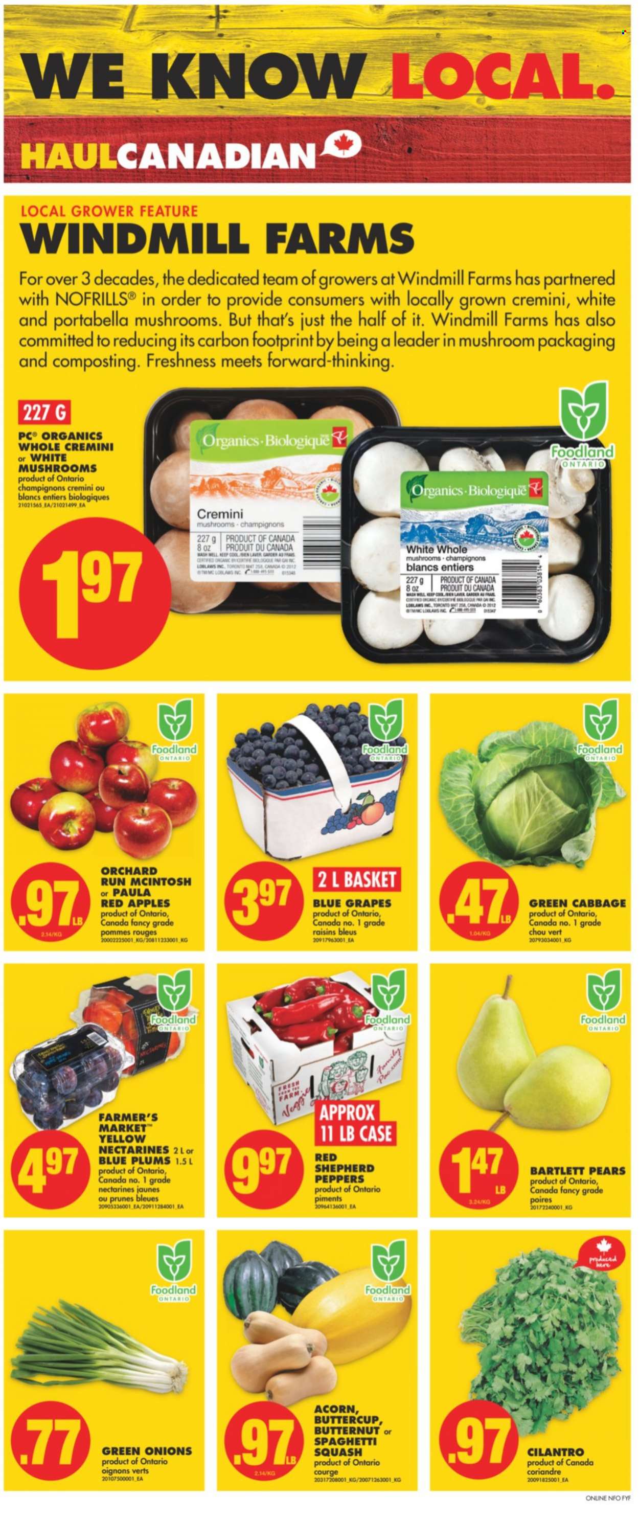 No Frills flyer - September 16, 2021 - September 22, 2021. Page 2