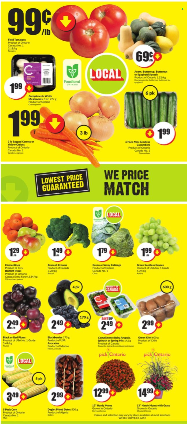 thumbnail - FreshCo. Flyer - September 16, 2021 - September 22, 2021 - Sales products - mushrooms, butternut squash, cabbage, carrots, corn, tomatoes, onion, avocado, Bartlett pears, blackberries, clementines, grapes, plums, pears, red plums, prunes, dried fruit, dried dates. Page 2.