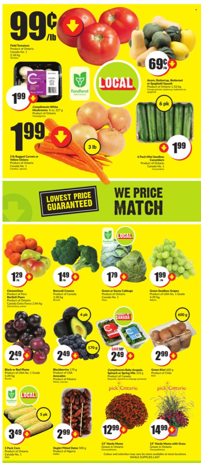 thumbnail - Chalo! FreshCo. Flyer - September 16, 2021 - September 22, 2021 - Sales products - mushrooms, cabbage, carrots, corn, cucumber, tomatoes, onion, avocado, Bartlett pears, blackberries, clementines, grapes, seedless grapes, plums, pears, red plums, prunes, dried fruit, dried dates, kiwi. Page 2.