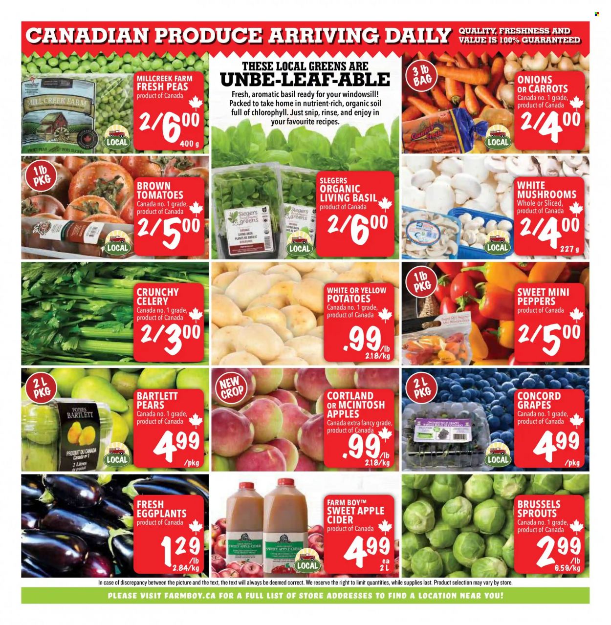 Farm Boy flyer - September 16, 2021 - September 22, 2021. Page 7