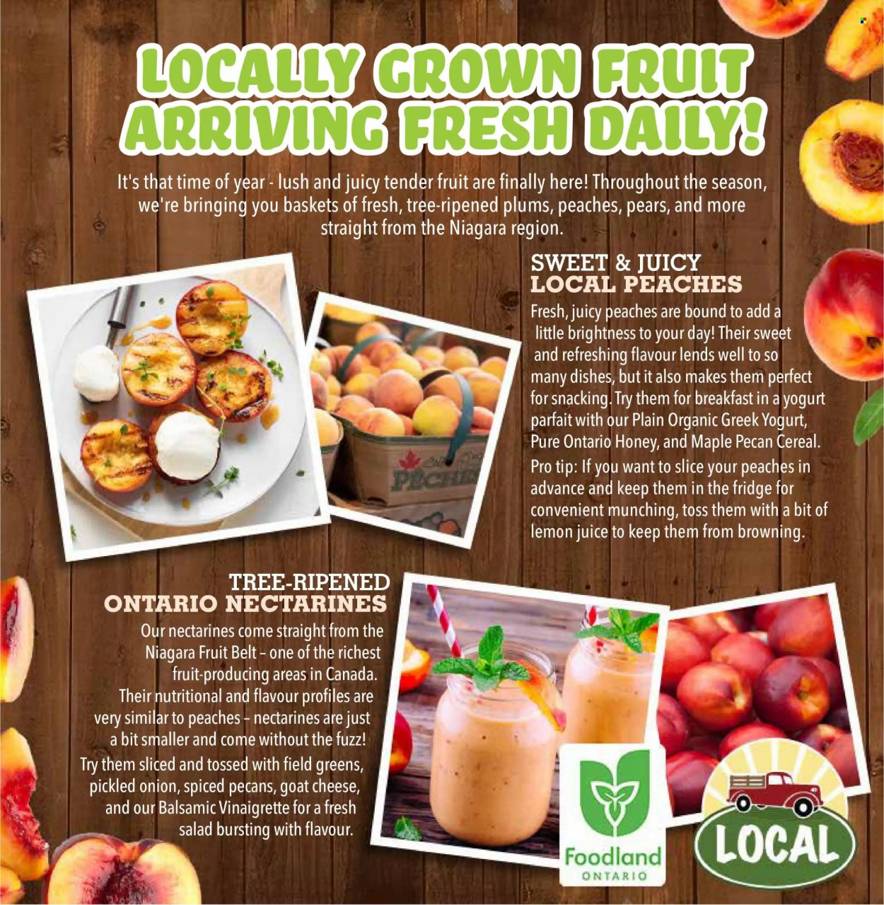 Farm Boy flyer - September 16, 2021 - September 22, 2021. Page 14