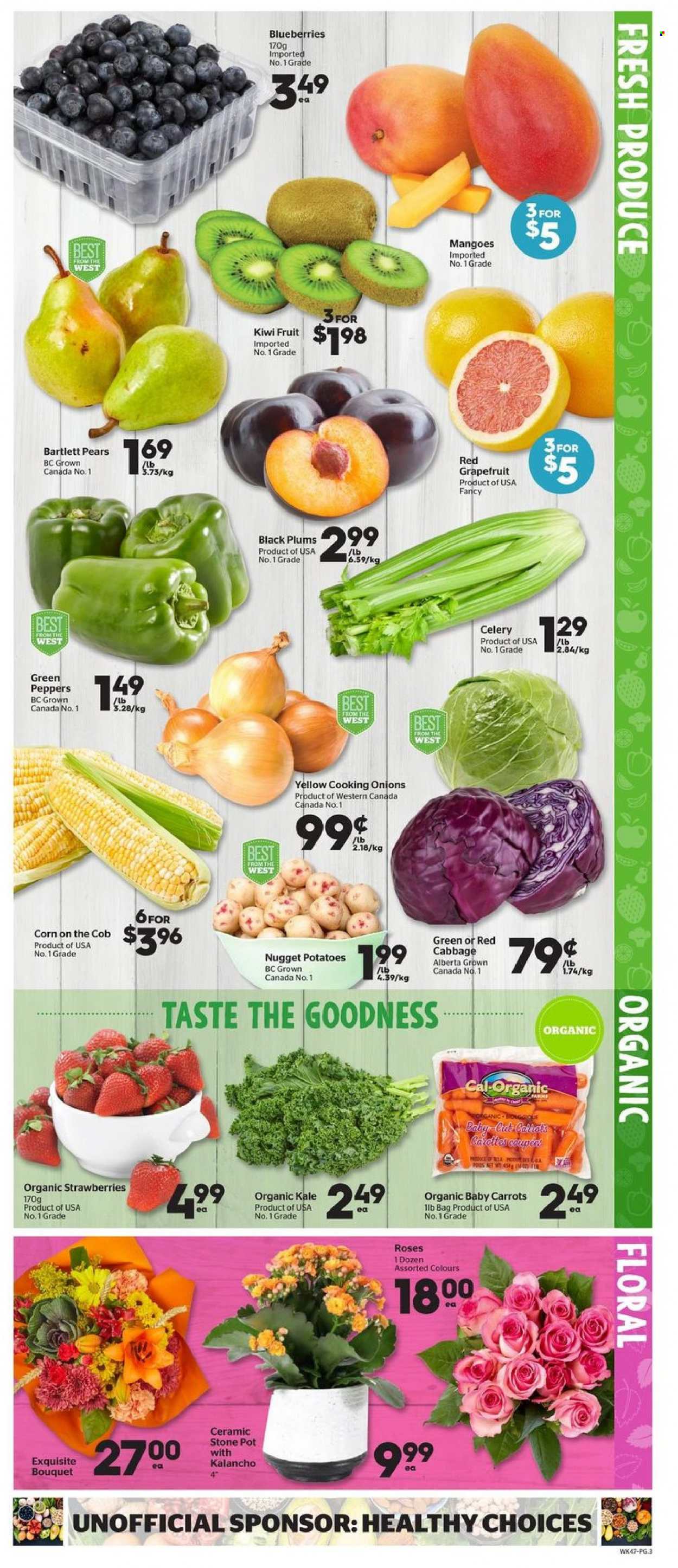 thumbnail - Calgary Co-op Flyer - September 23, 2021 - September 29, 2021 - Sales products - cabbage, carrots, celery, corn, kale, potatoes, onion, Bartlett pears, grapefruits, strawberries, plums, pears, black plums, kiwi. Page 3.