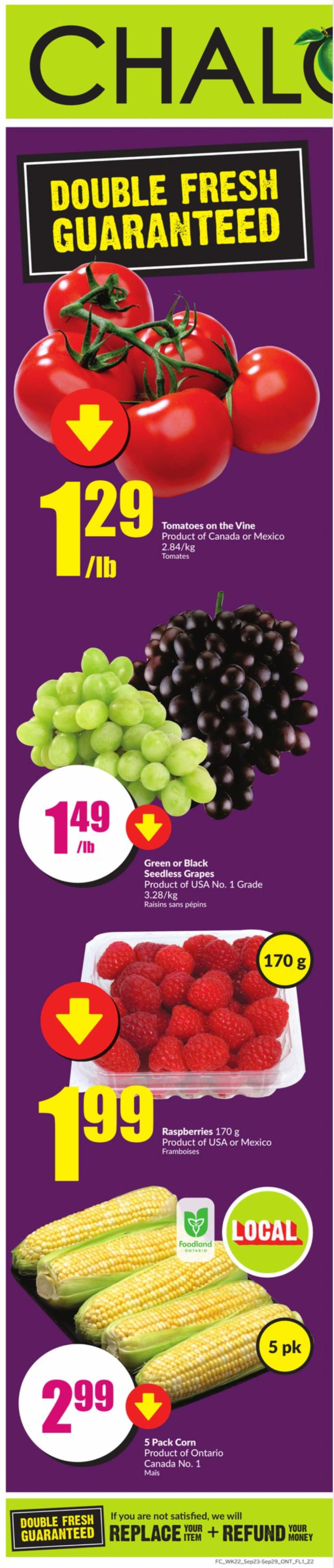 Chalo! FreshCo. flyer - September 23, 2021 - September 29, 2021. Page 11