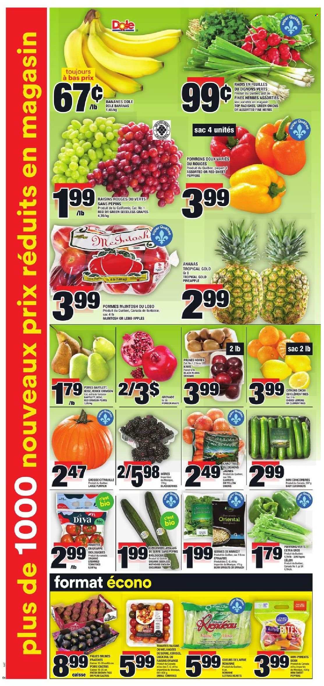 thumbnail - Super C Flyer - September 30, 2021 - October 06, 2021 - Sales products - carrots, radishes, spinach, sweet peppers, tomatoes, pumpkin, lettuce, Dole, peppers, green onion, apples, blackberries, clementines, grapes, seedless grapes, pineapple, plums, pears, pomegranate, lemons, black plums, prunes, dried fruit, bean sprouts, kiwi, raisins, oranges. Page 3.