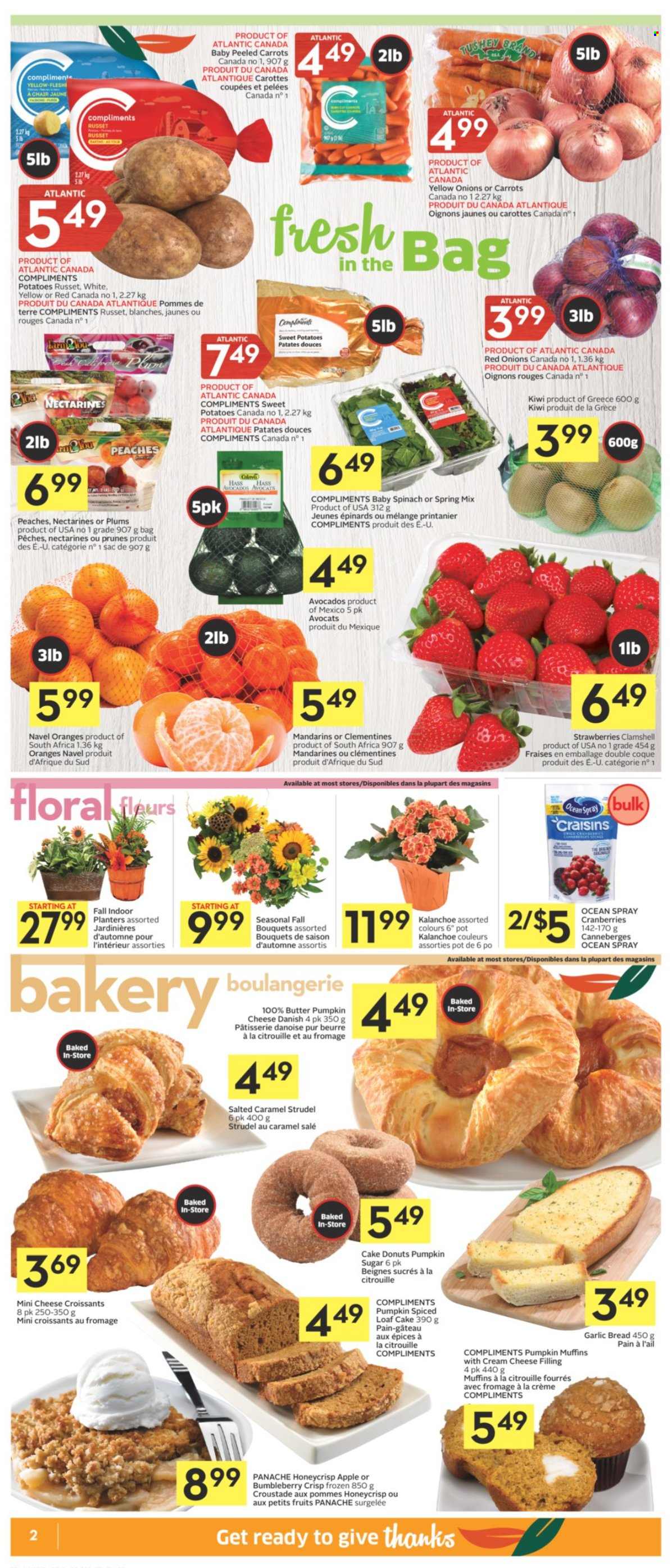 thumbnail - Co-op Flyer - September 30, 2021 - October 06, 2021 - Sales products - bread, cake, croissant, strudel, donut, muffin, loaf cake, carrots, red onions, russet potatoes, sweet potato, potatoes, pumpkin, onion, avocado, clementines, mandarines, nectarines, plums, peaches, navel oranges, cheese, butter, sugar, craisins, cranberries, prunes, dried fruit, Planters, kiwi, oranges. Page 2.