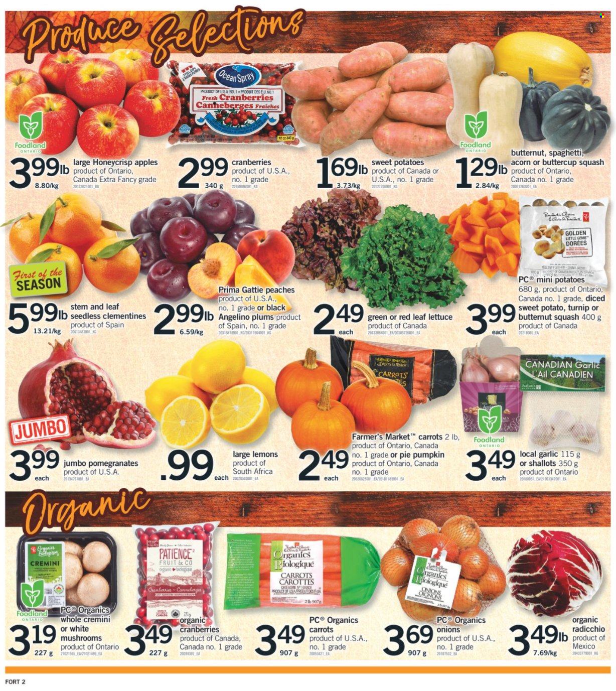 thumbnail - Fortinos Flyer - September 30, 2021 - October 06, 2021 - Sales products - pie, butternut squash, carrots, garlic, shallots, sweet potato, potatoes, pumpkin, onion, lettuce, apples, clementines, plums, pomegranate, lemons, peaches, spaghetti, cranberries, radicchio. Page 5.