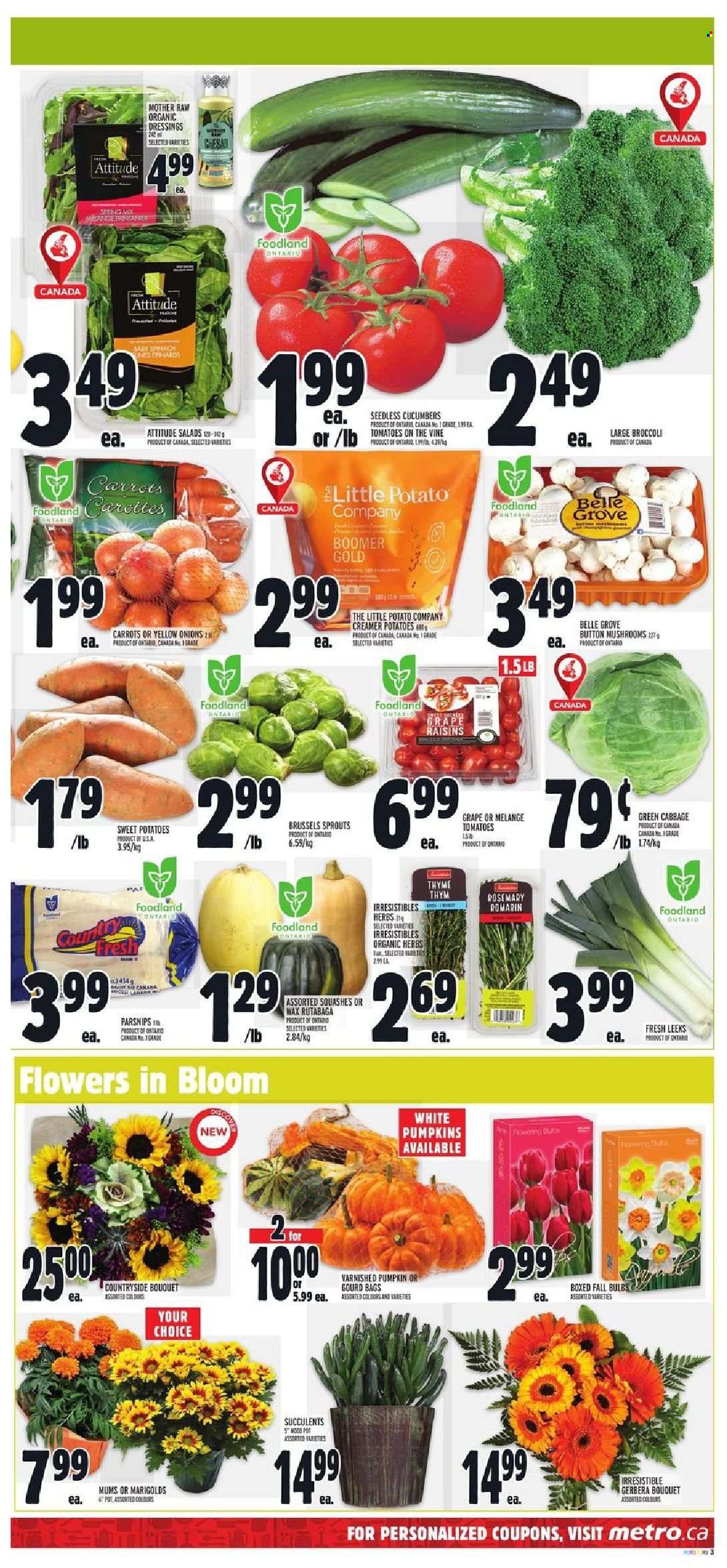 thumbnail - Metro Flyer - September 30, 2021 - October 06, 2021 - Sales products - mushrooms, broccoli, cabbage, carrots, cucumber, spinach, sweet potato, tomatoes, potatoes, pumpkin, parsnips, onion, brussel sprouts, gourd, rosemary, dried fruit, pot, bouquet, gerbera, succulent, raisins, rutabaga. Page 3.