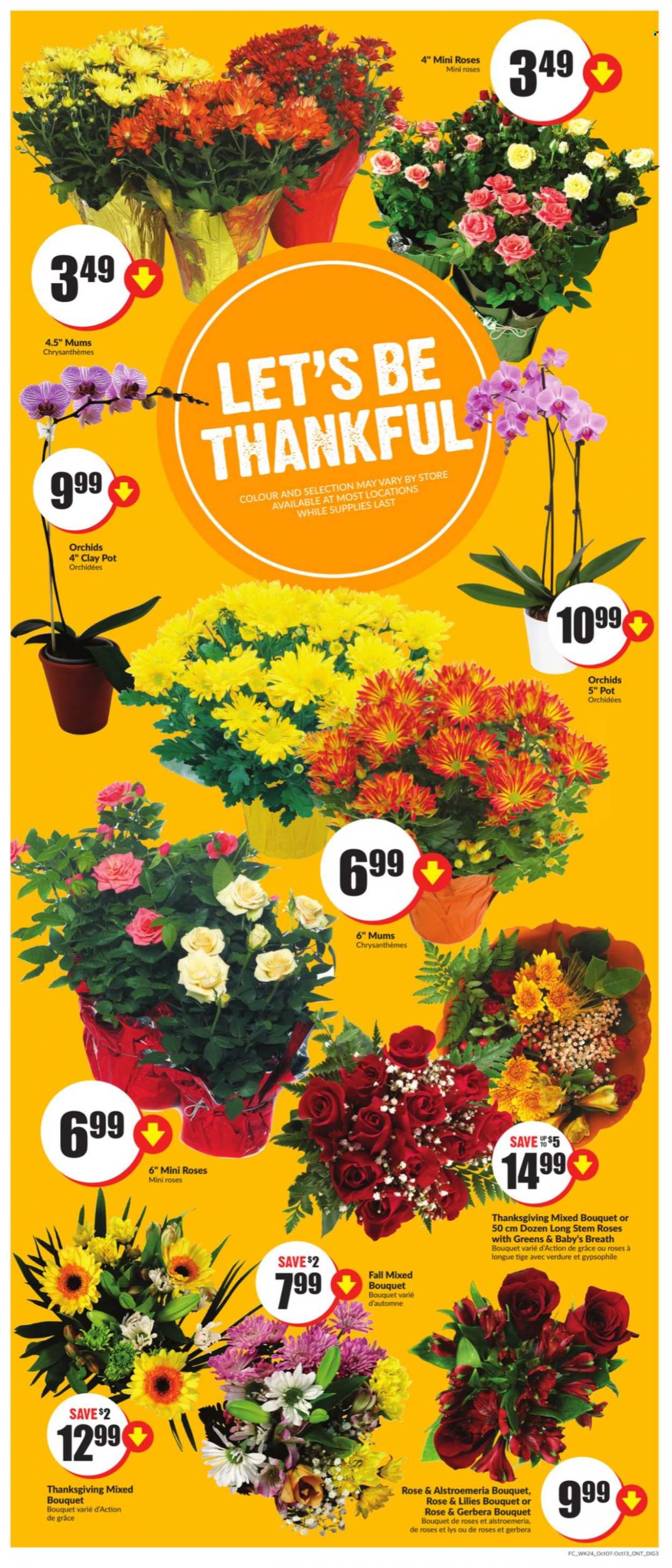 Chalo! FreshCo. flyer - October 07, 2021 - October 13, 2021. Page 9