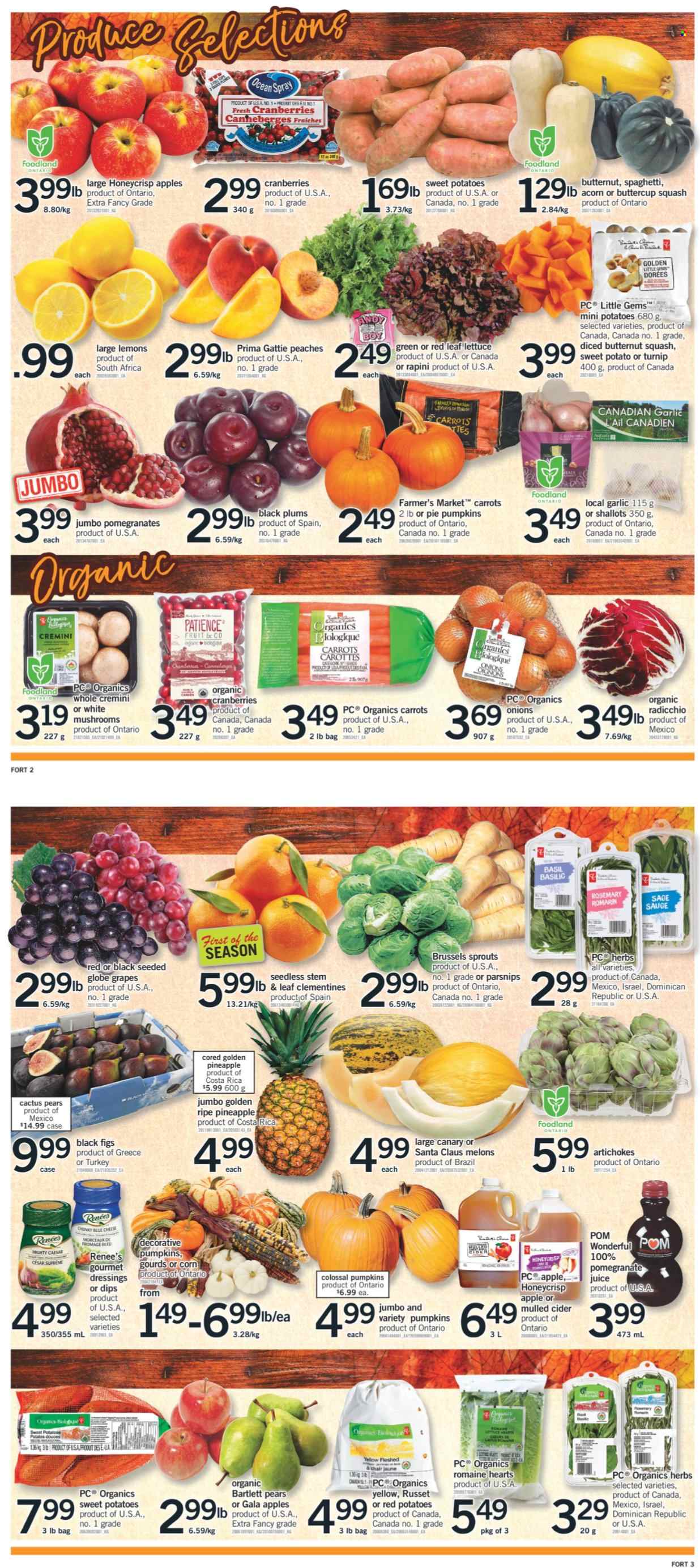 thumbnail - Fortinos Flyer - October 07, 2021 - October 10, 2021 - Sales products - pie, artichoke, butternut squash, carrots, corn, garlic, russet potatoes, shallots, sweet potato, potatoes, pumpkin, parsnips, onion, lettuce, brussel sprouts, red potatoes, apples, Bartlett pears, clementines, figs, Gala, grapes, pineapple, plums, pears, melons, pomegranate, lemons, black plums, peaches, spaghetti, cheese, Santa, cranberries, esponja, rosemary, herbs, juice, cider, chair, Santa Claus, cactus, radicchio. Page 3.