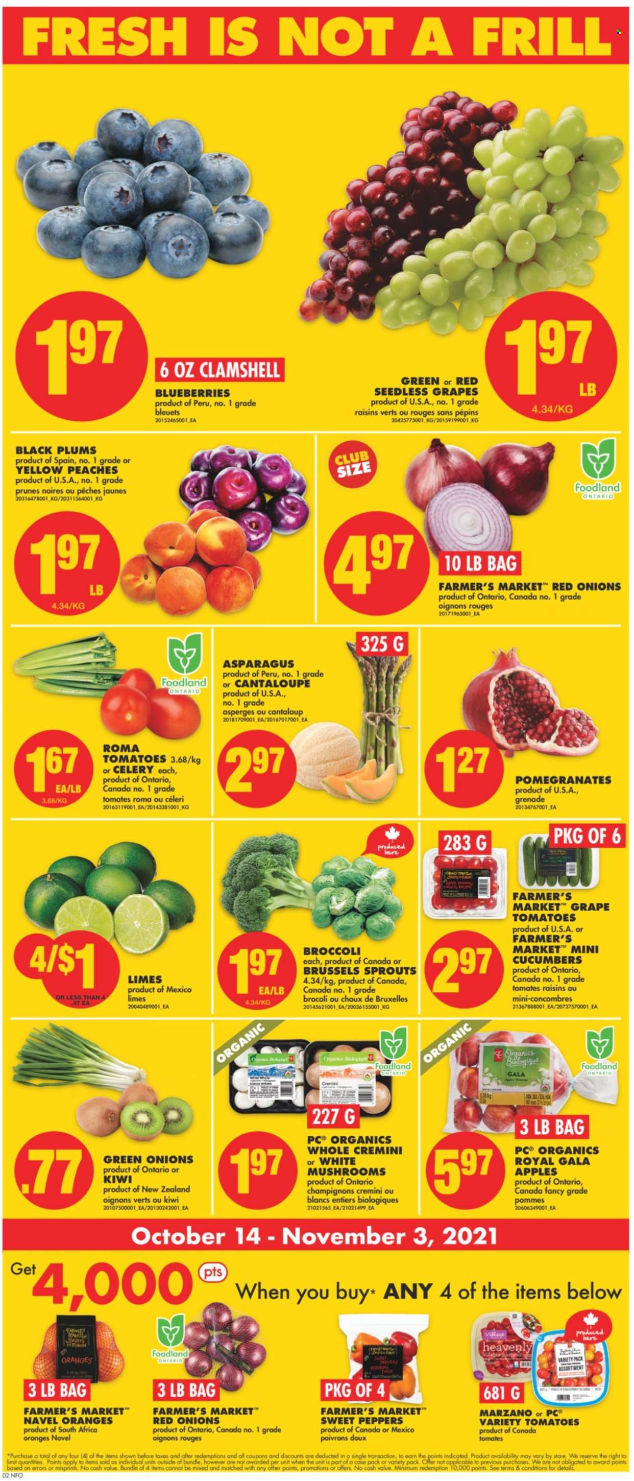 thumbnail - No Frills Flyer - October 14, 2021 - October 20, 2021 - Sales products - mushrooms, asparagus, broccoli, cucumber, red onions, sweet peppers, tomatoes, peppers, brussel sprouts, green onion, apples, blueberries, Gala, limes, seedless grapes, plums, pomegranate, black plums, peaches, navel oranges, prunes, dried fruit, kiwi, raisins, oranges. Page 3.
