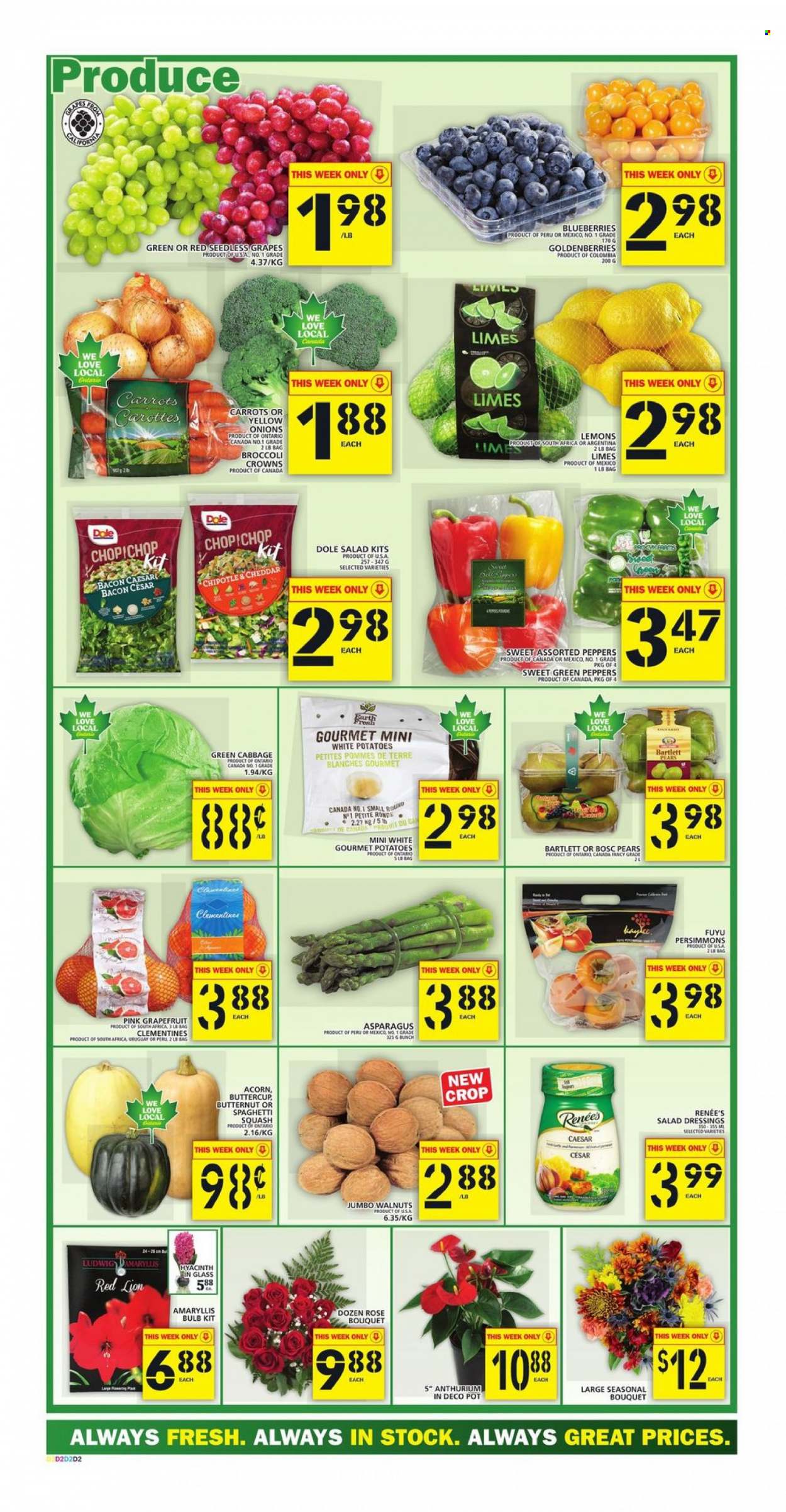 thumbnail - Food Basics Flyer - October 14, 2021 - October 20, 2021 - Sales products - asparagus, butternut squash, cabbage, carrots, potatoes, onion, Dole, peppers, Bartlett pears, blueberries, clementines, Gala, grapefruits, grapes, limes, seedless grapes, pears, persimmons, lemons, cheese, salad dressing, walnuts, wine, rosé wine, pot, pan, bulb. Page 3.