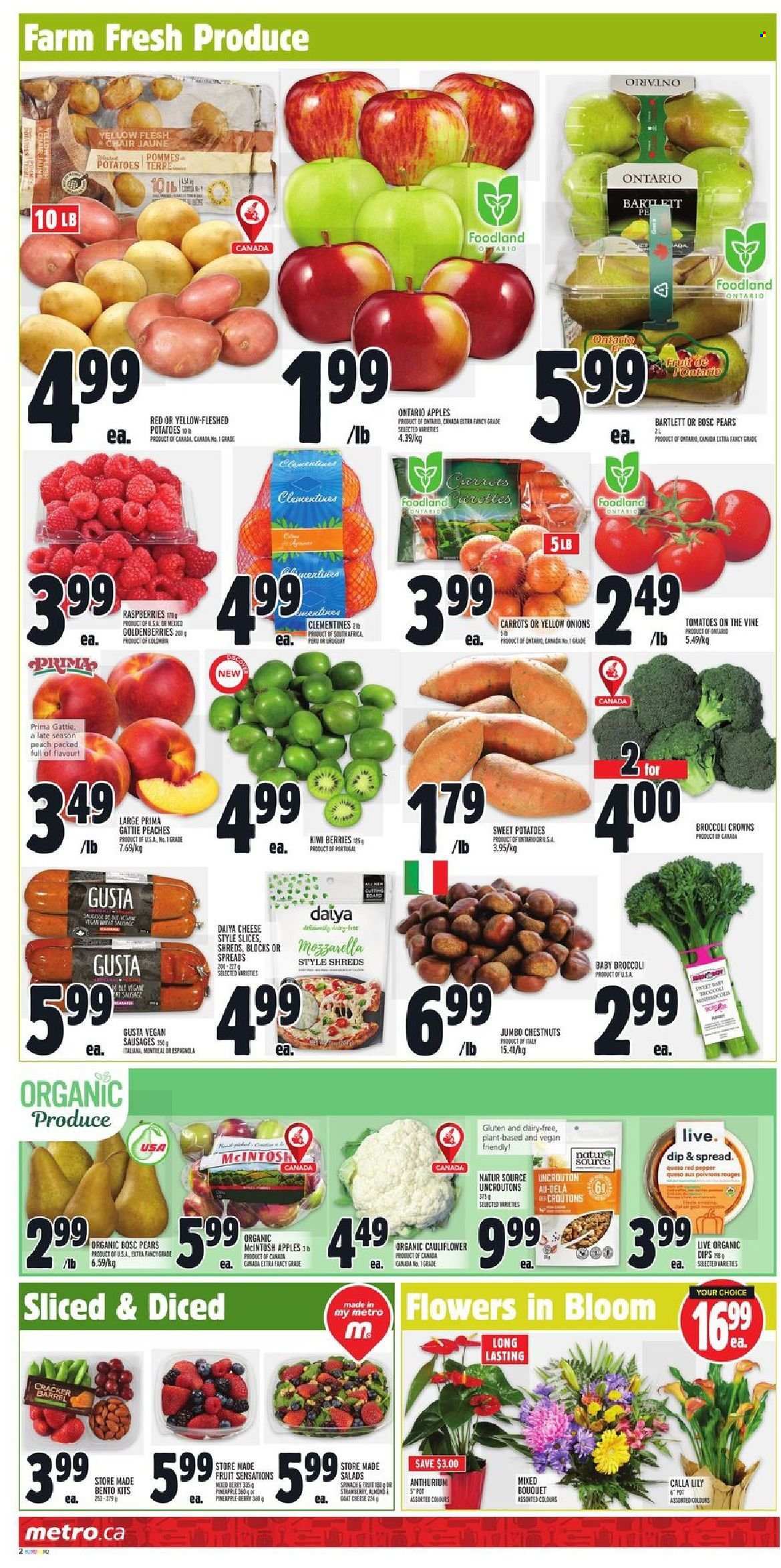 thumbnail - Metro Flyer - October 14, 2021 - October 20, 2021 - Sales products - carrots, sweet potato, tomatoes, potatoes, onion, apples, clementines, pears, peaches, sausage, cheese, crackers, croutons, chestnuts, kiwi. Page 2.