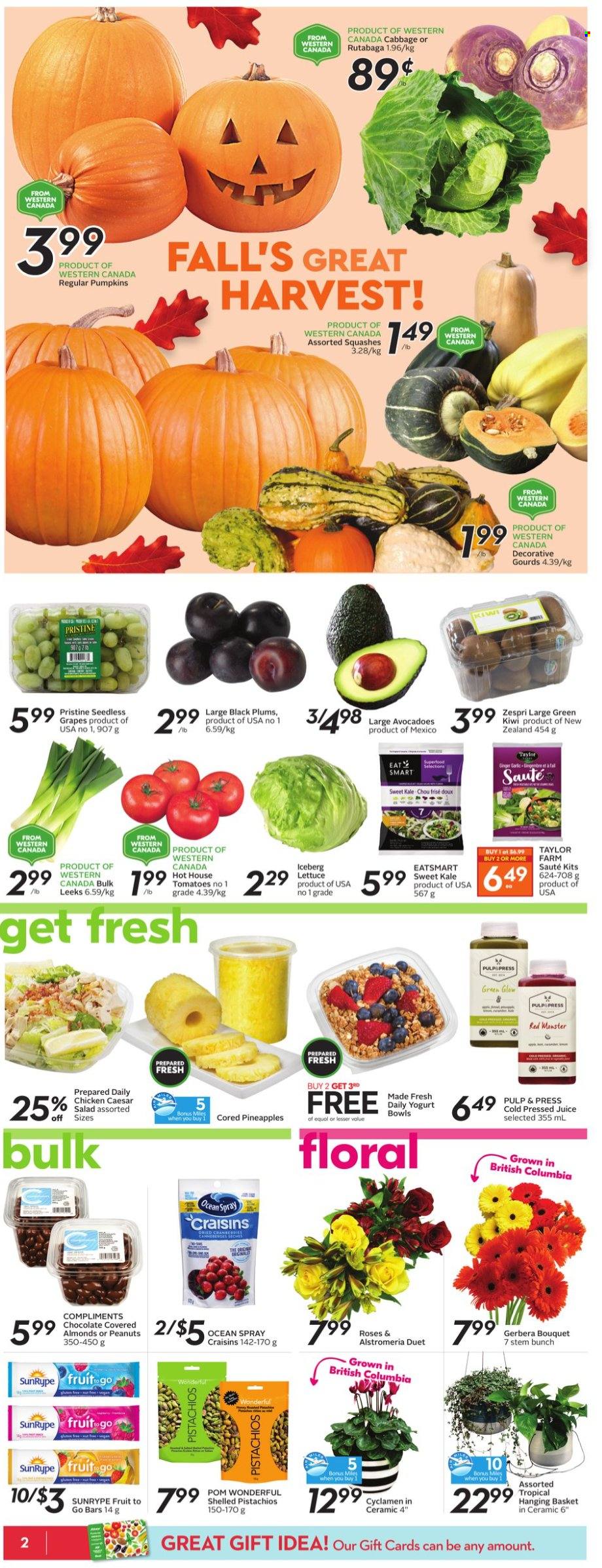 thumbnail - Safeway Flyer - October 14, 2021 - October 20, 2021 - Sales products - ginger, tomatoes, kale, pumpkin, lettuce, salad, grapes, seedless grapes, pineapple, plums, black plums, yoghurt, craisins, almonds, peanuts, dried fruit, pistachios, juice, bouquet, gerbera, rose, kiwi, rutabaga. Page 3.