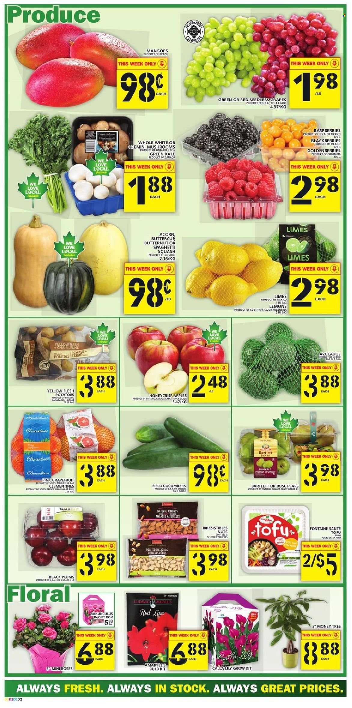 thumbnail - Food Basics Flyer - October 21, 2021 - October 27, 2021 - Sales products - mushrooms, butternut squash, cucumber, kale, potatoes, apples, avocado, Bartlett pears, blackberries, clementines, Gala, grapefruits, grapes, limes, mango, seedless grapes, plums, pears, lemons, black plums, tofu, almonds, pistachios, gift box, bulb. Page 2.