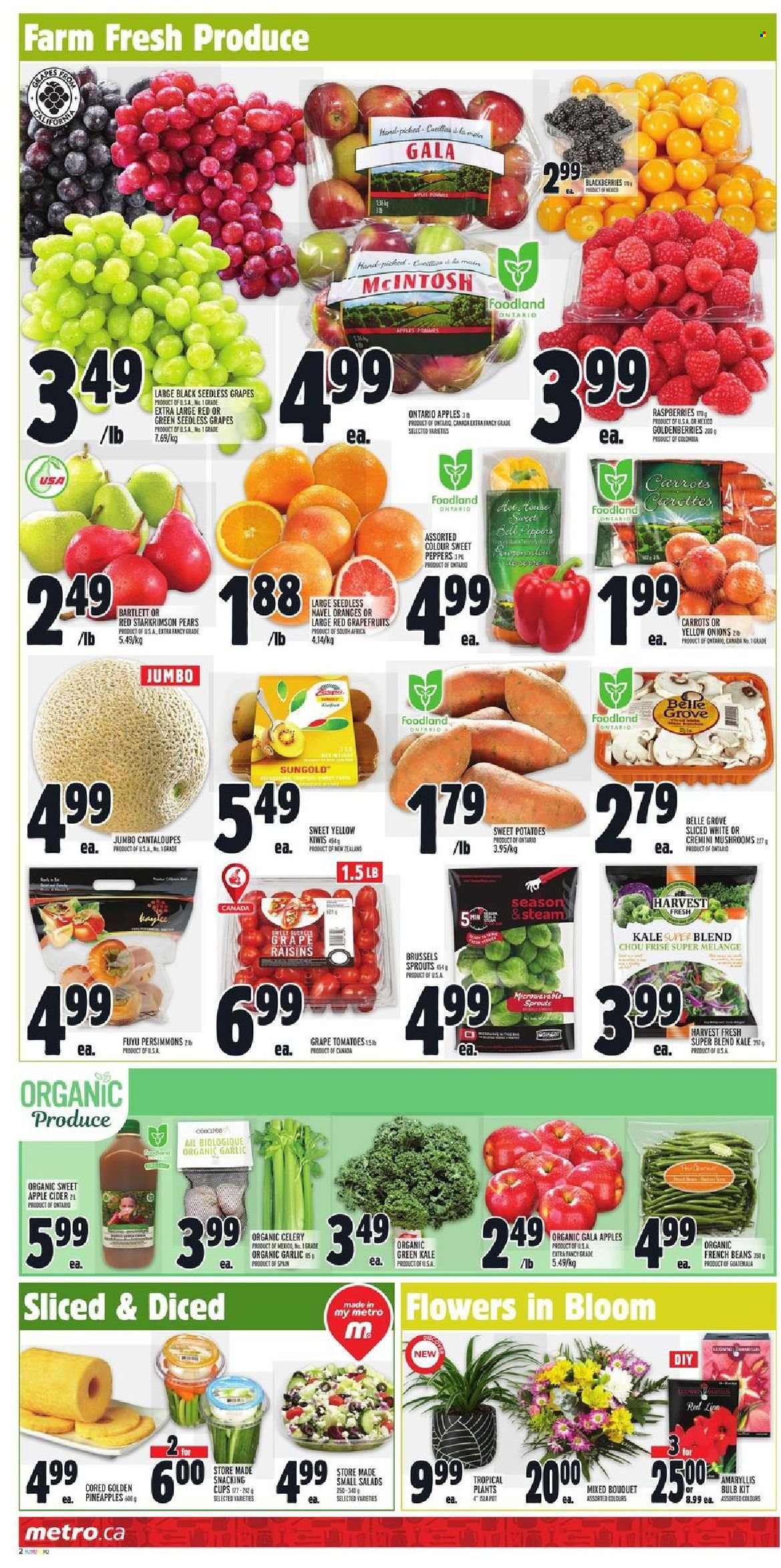 Metro flyer - October 21, 2021 - October 27, 2021. Page 2