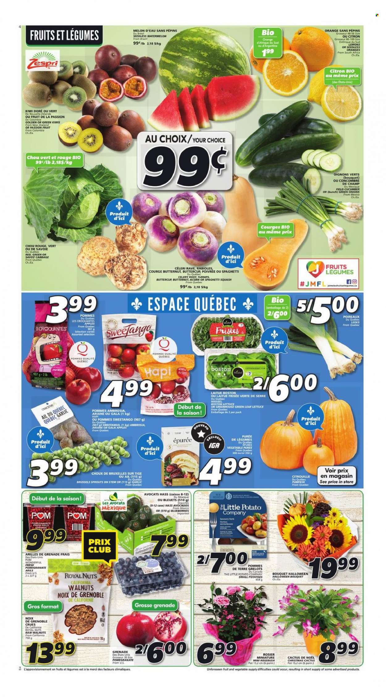 thumbnail - IGA Flyer - October 28, 2021 - November 03, 2021 - Sales products - butternut squash, cabbage, celery, garlic, potatoes, pumpkin, lettuce, brussel sprouts, green onion, apples, avocado, blueberries, Gala, watermelon, melons, pomegranate, lemons, Merci, herbs, walnuts, kiwi, turnips, oranges. Page 3.