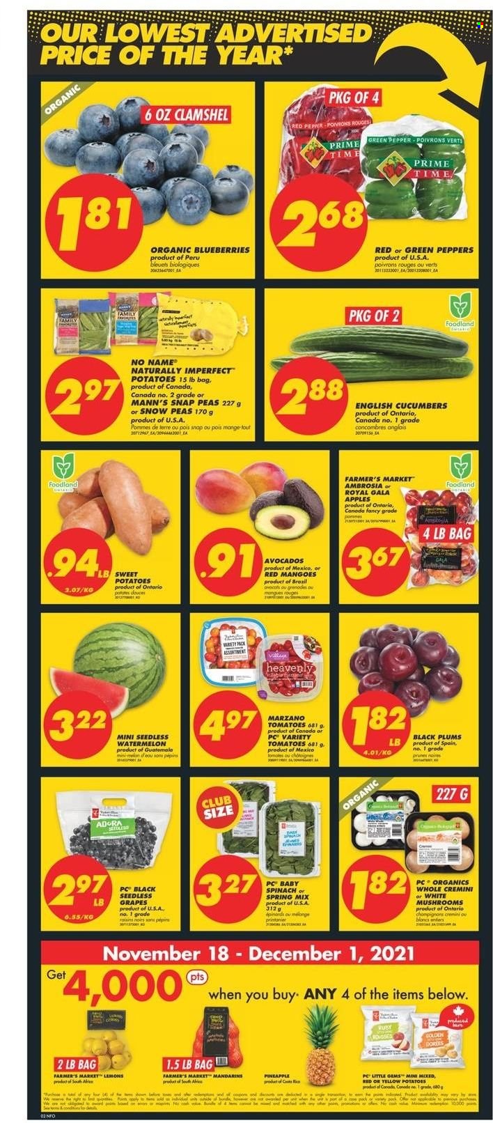 thumbnail - No Frills Flyer - November 18, 2021 - November 24, 2021 - Sales products - mushrooms, cucumber, sweet potato, tomatoes, potatoes, peas, peppers, green pepper, apples, avocado, blueberries, Gala, grapes, mandarines, seedless grapes, watermelon, pineapple, plums, lemons, black plums, No Name, snap peas, snow peas, prunes, dried fruit, WD, bed. Page 3.