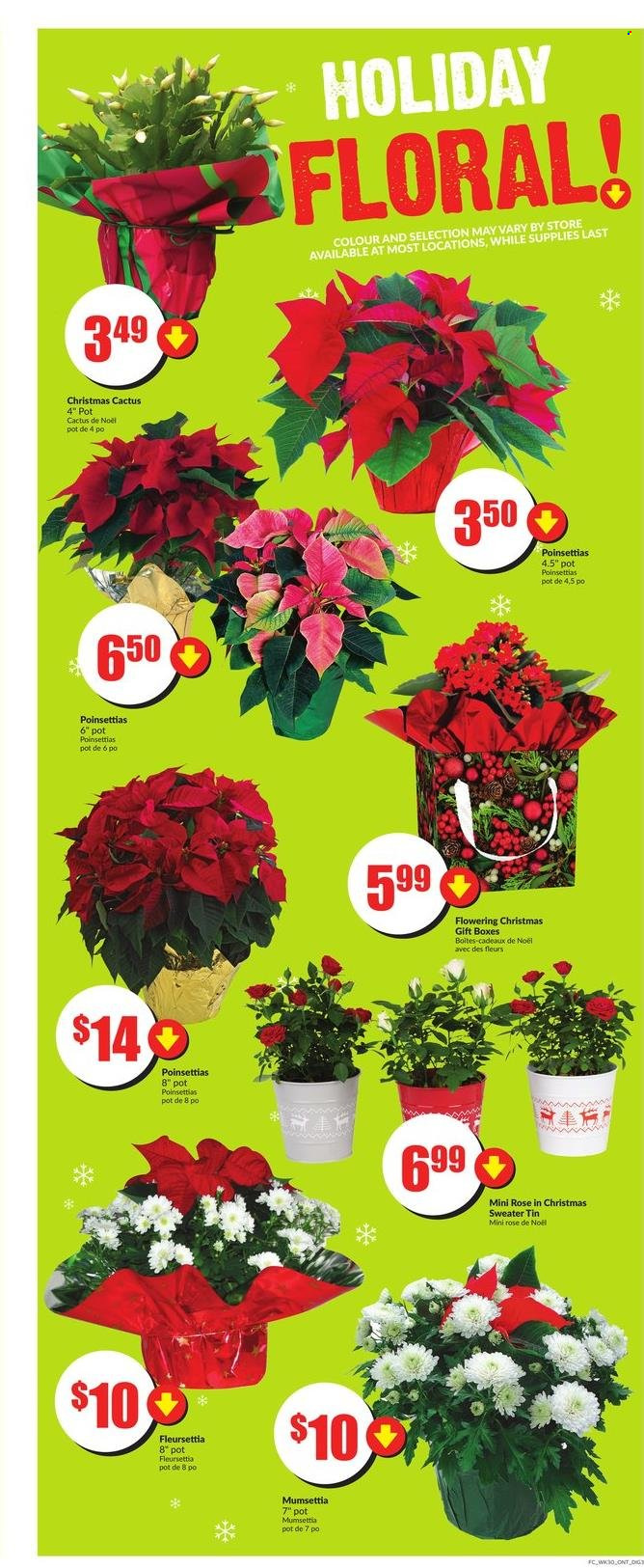 FreshCo. flyer - November 18, 2021 - November 24, 2021. Page 9