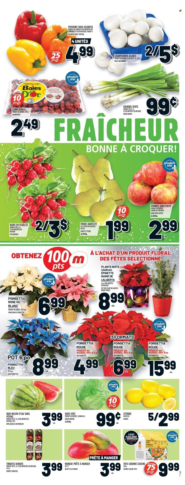 thumbnail - Metro Flyer - November 25, 2021 - December 01, 2021 - Sales products - mushrooms, cabbage, radishes, sweet peppers, tomatoes, peppers, green onion, apples, Bartlett pears, mango, watermelon, pears, melons, lemons, tofu, cranberries, wine, rosé wine, pot, gift box, poinsettia, rose. Page 4.