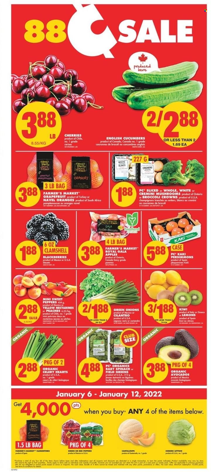 No Frills flyer - January 06, 2022 - January 12, 2022. Page 3
