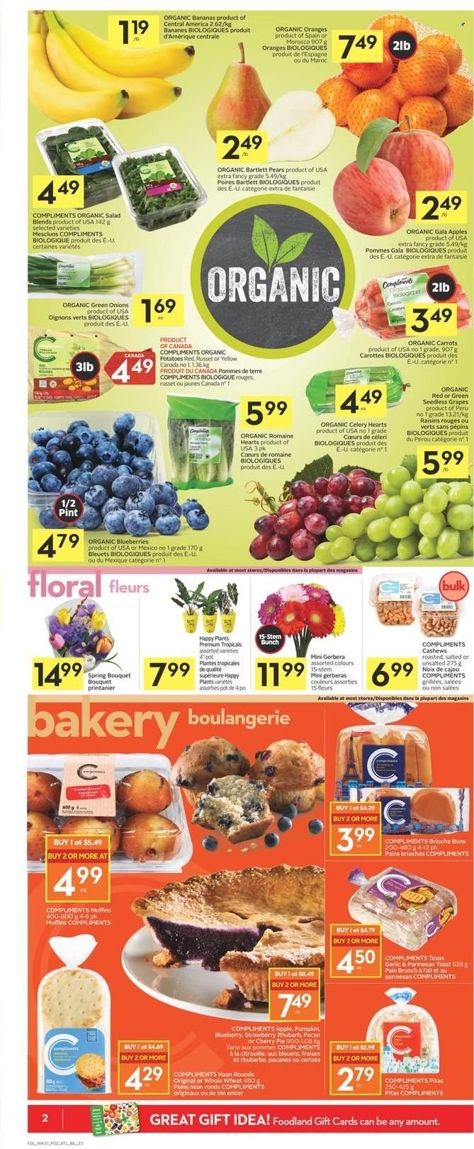 thumbnail - Co-op Flyer - January 06, 2022 - January 12, 2022 - Sales products - pita, pie, buns, brioche, muffin, cherry pie, carrots, celery, russet potatoes, potatoes, salad, green onion, sleeved celery, apples, bananas, Bartlett pears, blueberries, Gala, grapes, seedless grapes, pears, organic bananas, parmesan, cashews, dried fruit, raisins, oranges. Page 2.