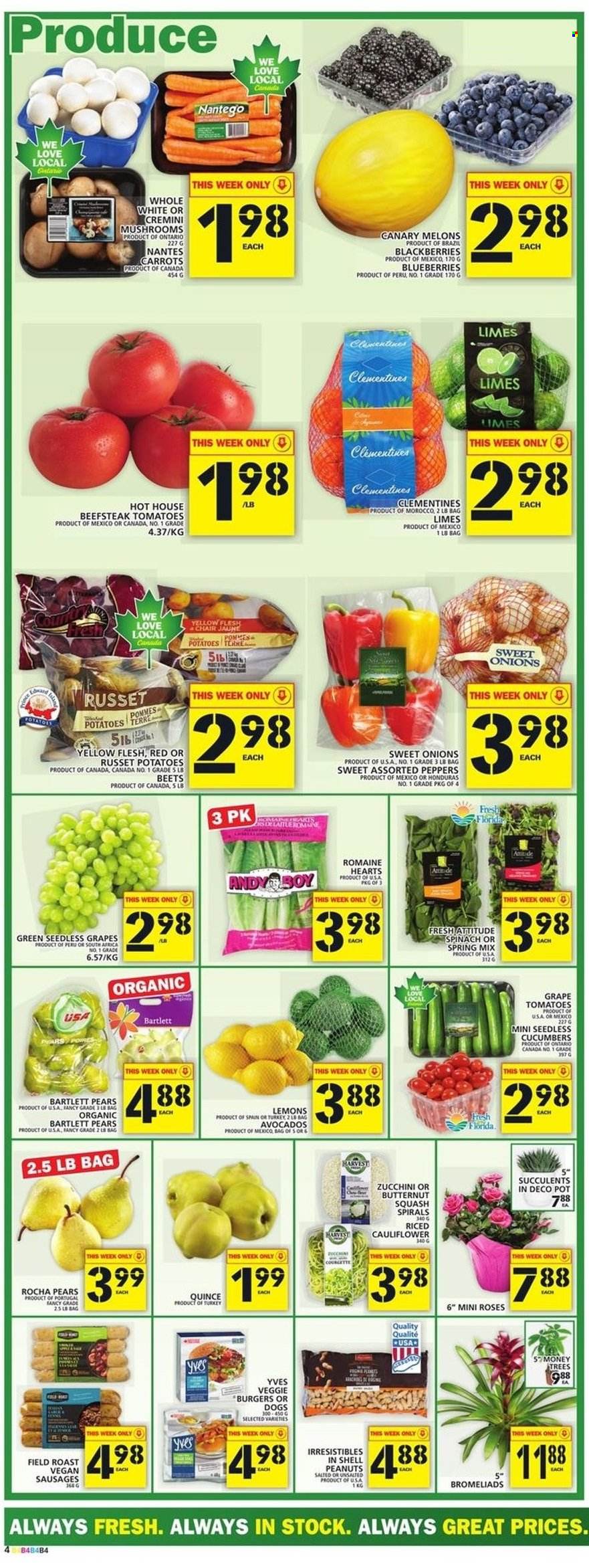thumbnail - Food Basics Flyer - January 13, 2022 - January 19, 2022 - Sales products - mushrooms, butternut squash, carrots, cucumber, russet potatoes, tomatoes, zucchini, potatoes, peppers, avocado, Bartlett pears, blackberries, blueberries, clementines, limes, quince, seedless grapes, pears, melons, lemons, veggie burger, sausage, peanuts, pot. Page 4.