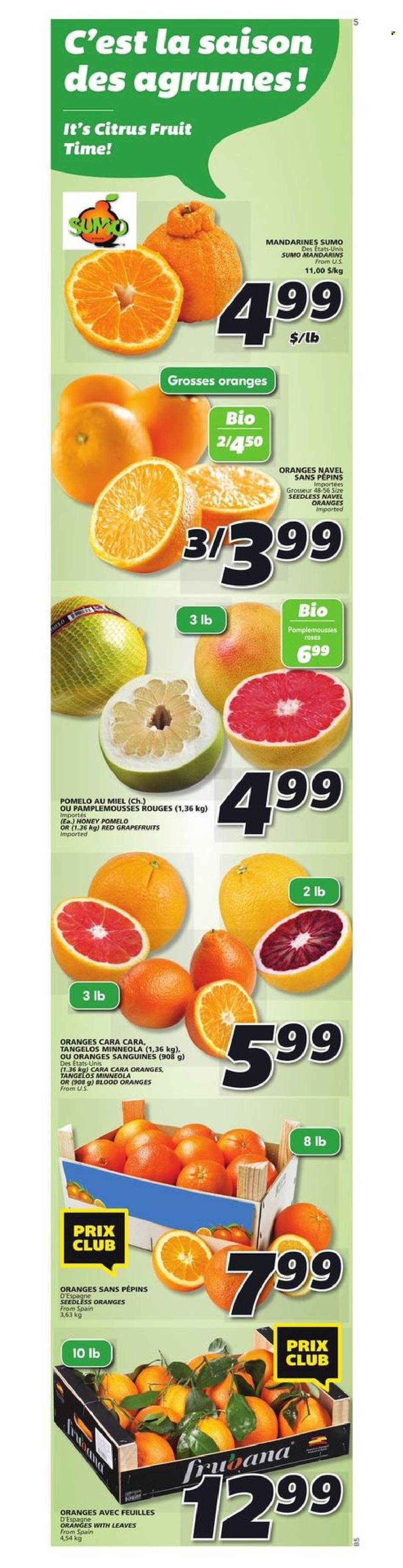 IGA flyer - January 20, 2022 - January 26, 2022. Page 13