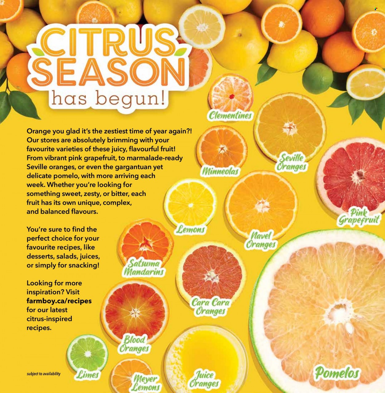 Farm Boy flyer - January 20, 2022 - January 26, 2022. Page 7