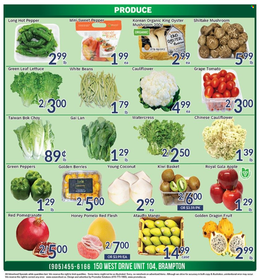 thumbnail - Oceans Flyer - January 21, 2022 - January 27, 2022 - Sales products - oyster mushrooms, mushrooms, beans, bok choy, cauliflower, lettuce, peppers, Gala, coconut, pomegranate, pomelo, dragon fruit, oysters, watercress, pepper, honey, kiwi. Page 2.