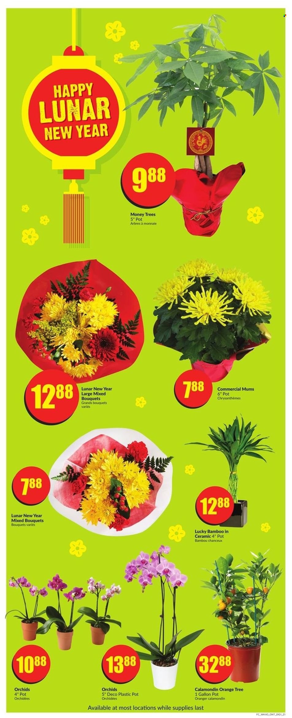 FreshCo. flyer - January 27, 2022 - February 02, 2022. Page 7