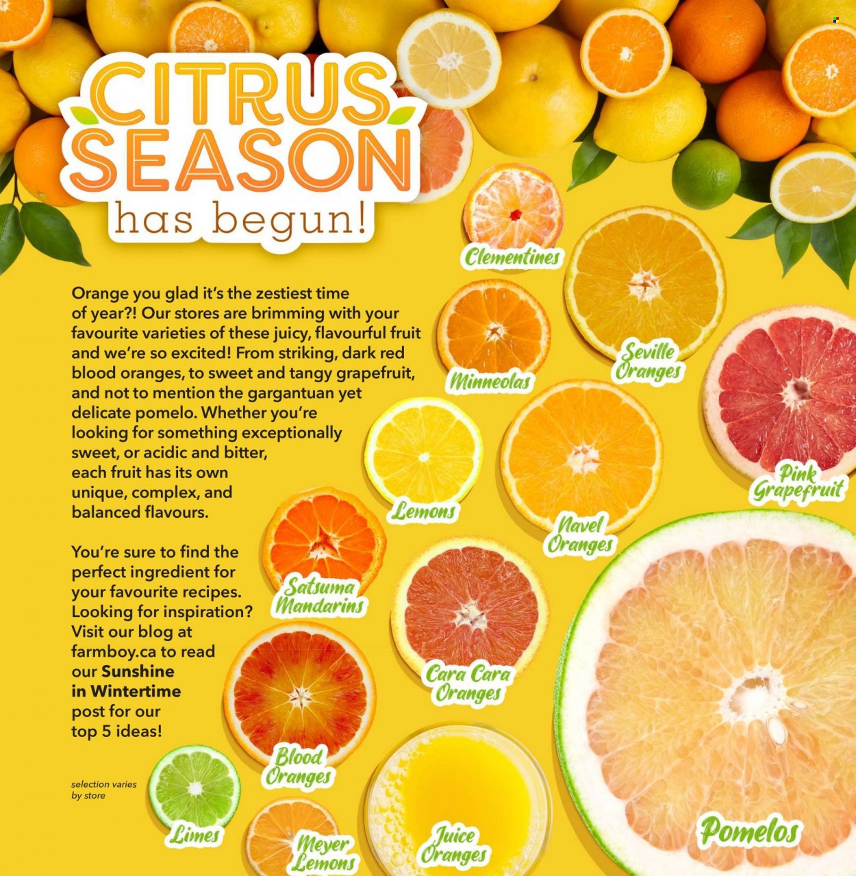 Farm Boy flyer - February 03, 2022 - February 09, 2022. Page 7