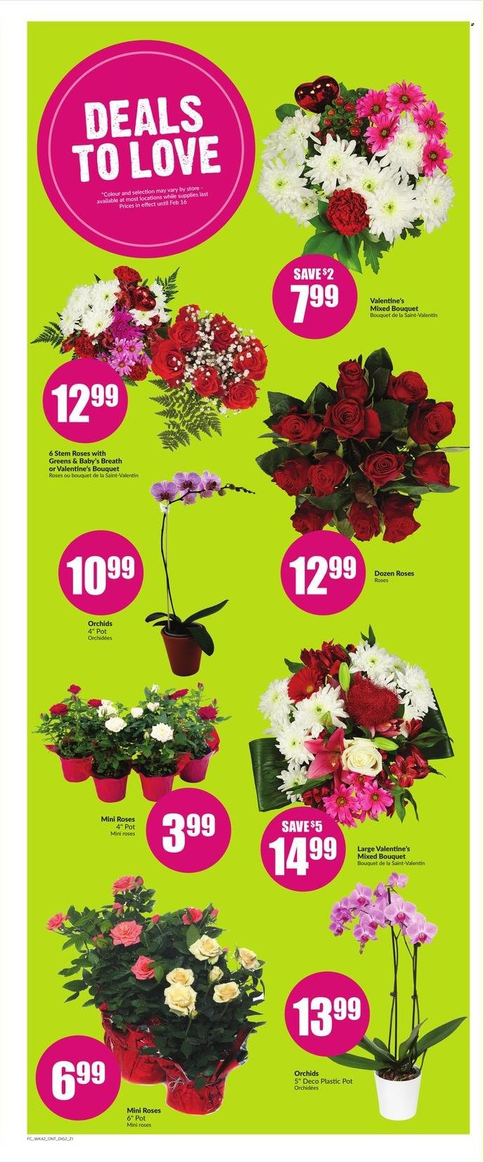 Chalo! FreshCo. flyer - February 10, 2022 - February 16, 2022. Page 8